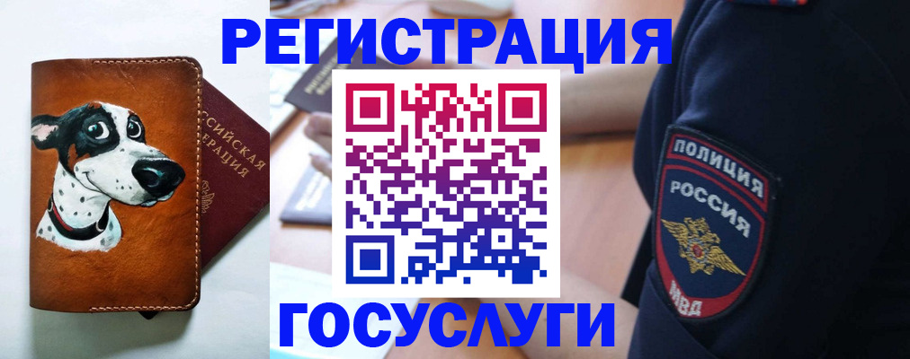временная регистрация в квартире в Комсомольске-на-Амуре